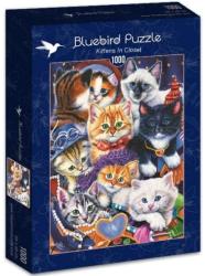 Bluebird Puzzle Kittens In Closet 1000 db-os (70087)