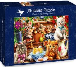 Bluebird Puzzle Kittens in the Potting Shed 1000 db-os (70241)