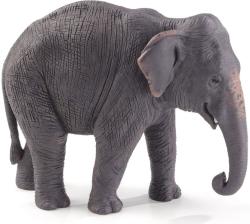 Mojo Figurina Mojo Wildlife - Elefantul asiatic (387266)