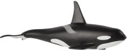 Mojo Figurina Mojo Sealife - Balena ucigasa, mascul (387114)