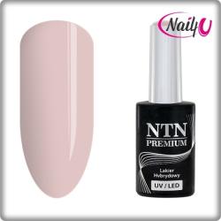 NTN Premium UV/LED 04#