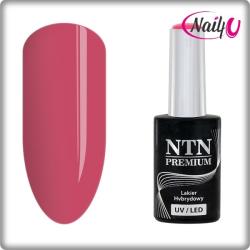 NTN Premium UV/LED 15#