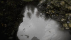 starmops Reflecting Fate (PC)