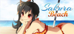 Winged Cloud Sakura Beach (PC)