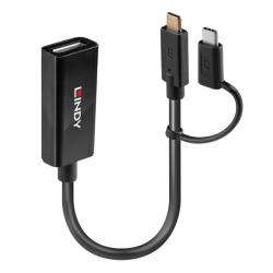 Lindy Adaptor USB Type C la Displayport 4K60Hz T-M Bidirectional, Lindy L43294* (L43294)
