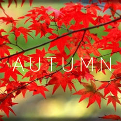 Trinity Project Autumn (PC)