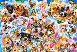 Bluebird Puzzle - Puzzle Selfie Pet Collage 260 piese - 260 piese Puzzle
