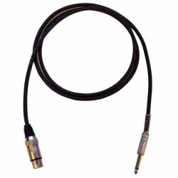 Bespeco IROMA450