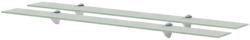 vidaXL Rafturi suspendate, 2 buc. , 100 x 20 cm, sticlă, 8 mm (3051541) Raft