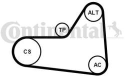 Continental Ctam Set curea transmisie cu caneluri CONTINENTAL CTAM 6PK1070K1 (6PK1070K1) - automobilus
