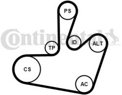 Continental Ctam Set curea transmisie cu caneluri CONTINENTAL CTAM 6PK1548K1 (6PK1548K1) - automobilus