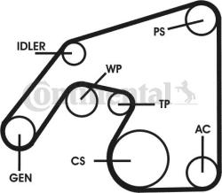Continental Ctam Set curea transmisie cu caneluri CONTINENTAL CTAM 6PK2271D2 (6PK2271D2) - automobilus