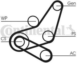Continental Ctam Set curea transmisie cu caneluri CONTINENTAL CTAM 6PK1059 ELAST T2 (6PK1059 ELAST T2) - automobilus