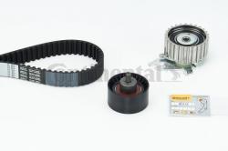 Continental Ctam Set curea de distributie CONTINENTAL CTAM CT877K2 (CT877K2) - automobilus