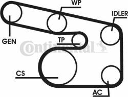 Continental Ctam Set curea transmisie cu caneluri CONTINENTAL CTAM 6PK1863D1 (6PK1863D1) - automobilus