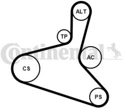 Continental Ctam Set curea transmisie cu caneluri CONTINENTAL CTAM 6DPK1195K2 (6DPK1195K2) - automobilus