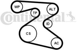 Continental Ctam Set curea transmisie cu caneluri CONTINENTAL CTAM 6PK1873K1 - automobilus