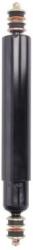 Magnum Technology amortizor Magnum Technology M0056 (M0056) - automobilus