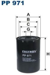 FILTRON filtru combustibil FILTRON PP 971 - automobilus