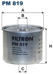 FILTRON filtru combustibil FILTRON PM 819 - automobilus