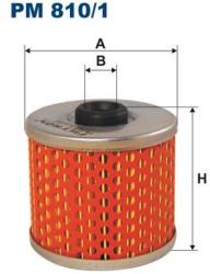 FILTRON filtru combustibil FILTRON PM 810/1 (PM 810/1) - automobilus