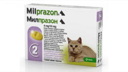 Elanco Milprazon Cat 4 10 mg ( 2 kg), 2 tablete