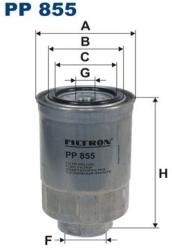 FILTRON filtru combustibil FILTRON PP 855 (PP 855) - automobilus