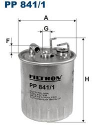 FILTRON filtru combustibil FILTRON PP 841/1 - automobilus