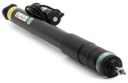 Arnott amortizor Arnott SK-3012 (SK-3012) - automobilus