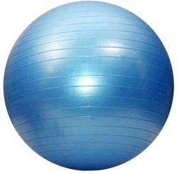 Dayu Fitness Minge de aerobic Dayu Fitness, 55cm, albastru (DY-GB-070-55CM-albastru) Minge fitness