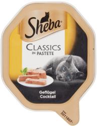 Sheba Classics cu gustări din carne de pasăre 22 x 85 g