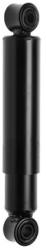 MONROE amortizor MONROE MAGNUM Axle T5309 (T5309)