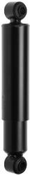 MONROE amortizor MONROE MAGNUM Axle T5269 (T5269)