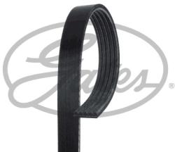 GATES Curea transmisie cu caneluri GATES 5PK1113 - automobilus