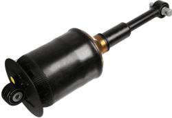 SACHS amortizor SACHS 317 325 (317 325) - automobilus