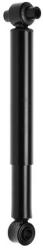 MONROE amortizor MONROE MAGNUM Axle T1349 (T1349)