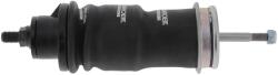 MONROE Amortizor, suspensie cabina MONROE MAGNUM Cabin CB0173 (CB0173)