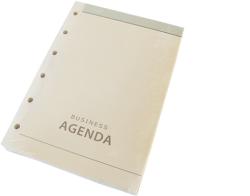 Rezerva pentru agenda A6 cu 6 perforatii (100309)