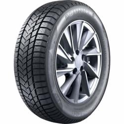 Sunny NW211 XL 205/55 R17 95V