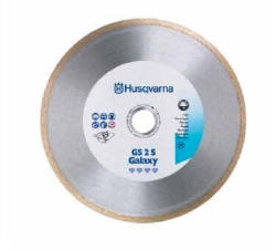  диам. диск gs2 300-25.4 (543080378)