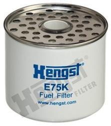 Hengst Filter filtru combustibil HENGST FILTER E75K D42 (E75K D42) - automobilus