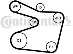 Continental Ctam Set curea transmisie cu caneluri CONTINENTAL CTAM 6PK1555K1 (6PK1555K1) - automobilus