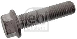 Febi Bilstein Surub FEBI BILSTEIN 10191 (10191)