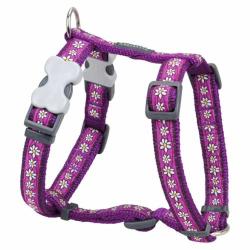 Red Dingo Daisy Chain Purple Dog hám Medium