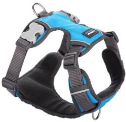 Red Dingo Padded dog hám Turquoise Medium