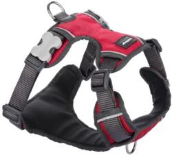 Red Dingo Padded dog hám Red XS