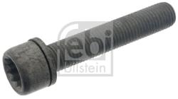 Febi Bilstein Surub, etrier FEBI BILSTEIN 48817 (48817) - automobilus