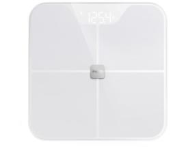 iHealth Fit HS2S