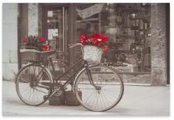 Divero Falikép Bike & Star 40 x 60 cm