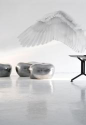 Settimo White Angel (WD148)